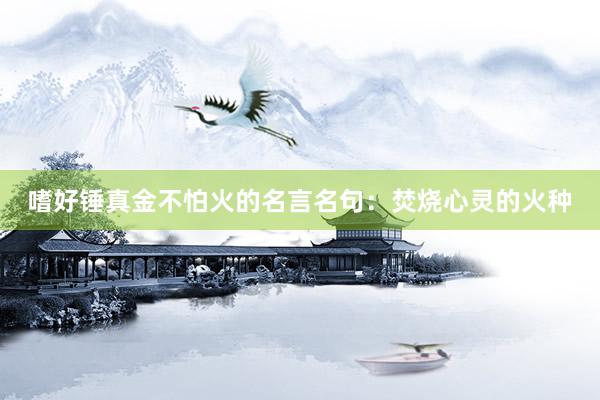 嗜好锤真金不怕火的名言名句：焚烧心灵的火种
