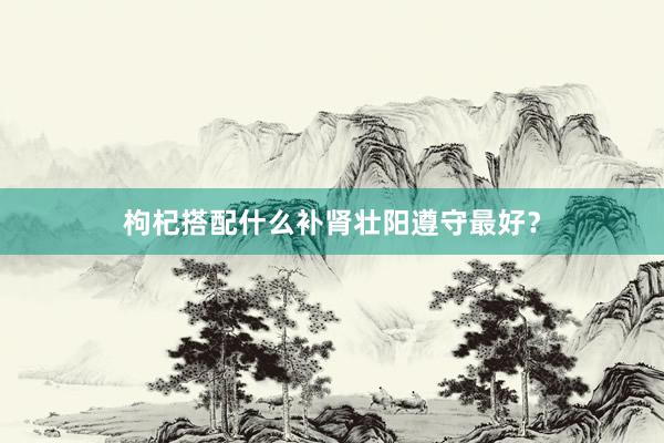 枸杞搭配什么补肾壮阳遵守最好？