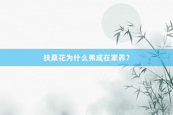 扶桑花为什么弗成在家养？